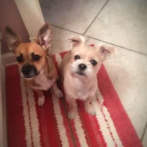 Meet your Posher, Min